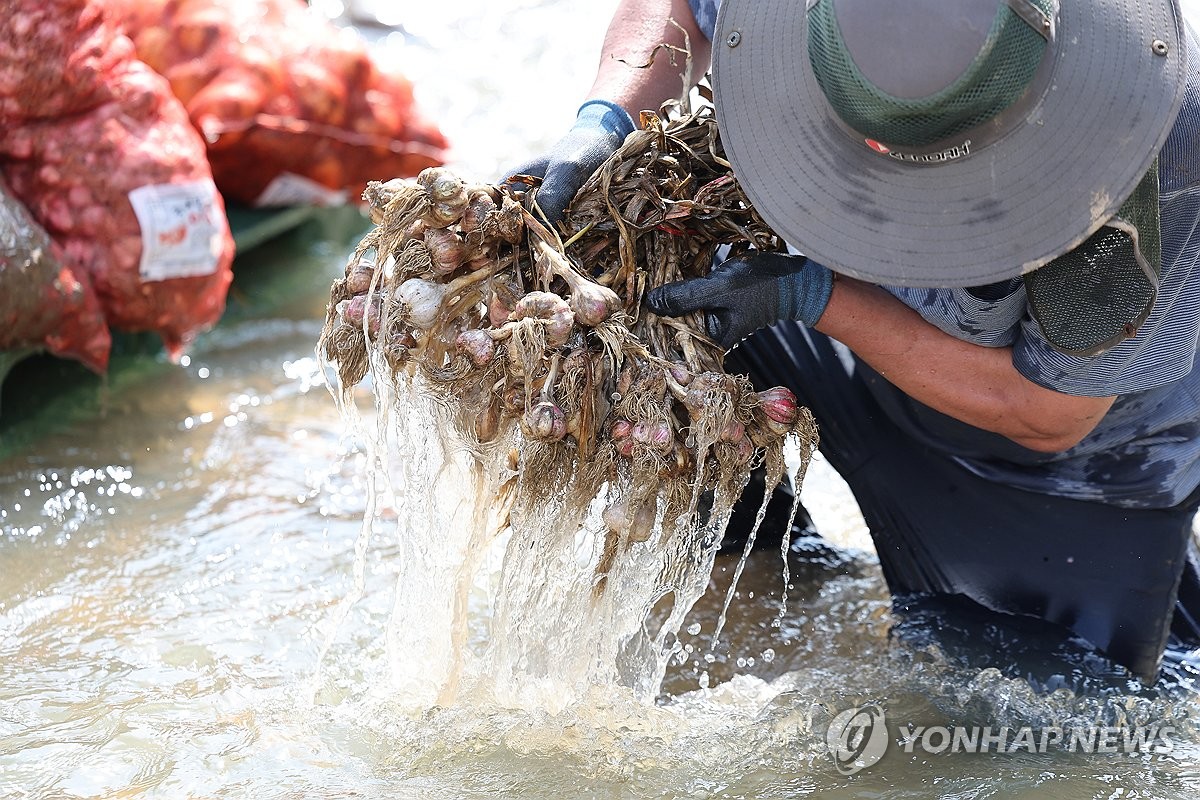7월 호우 피해액 309억원 확정…복구비 713억원 투입