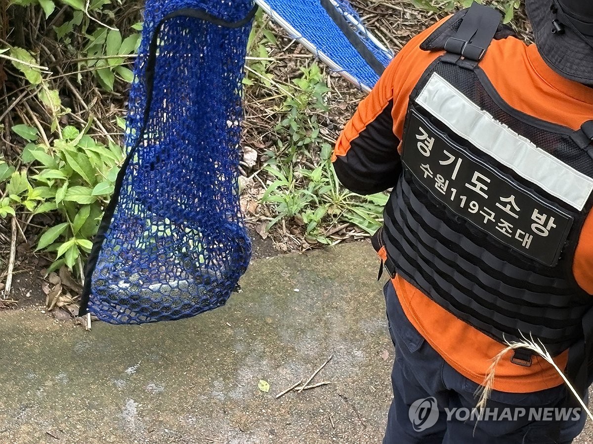 광교 하천에서 포획된 도마뱀