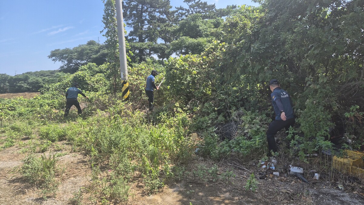 제주 실종 여성 수색 장면