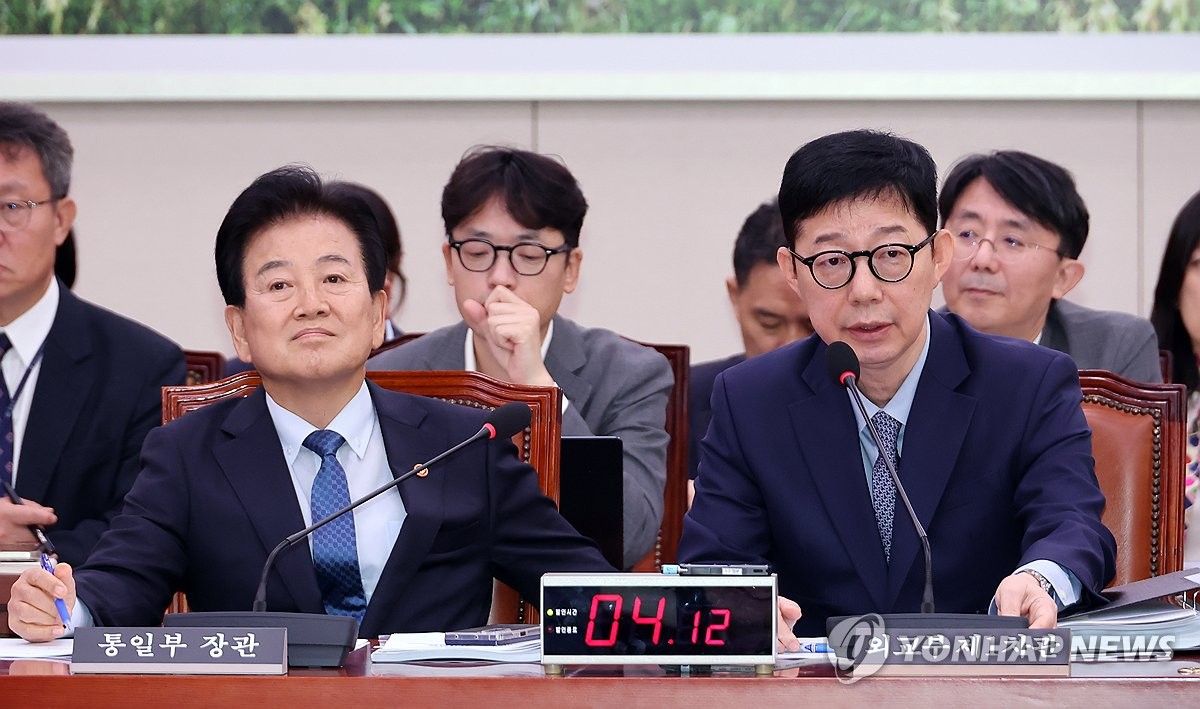 외통위 회의 모습