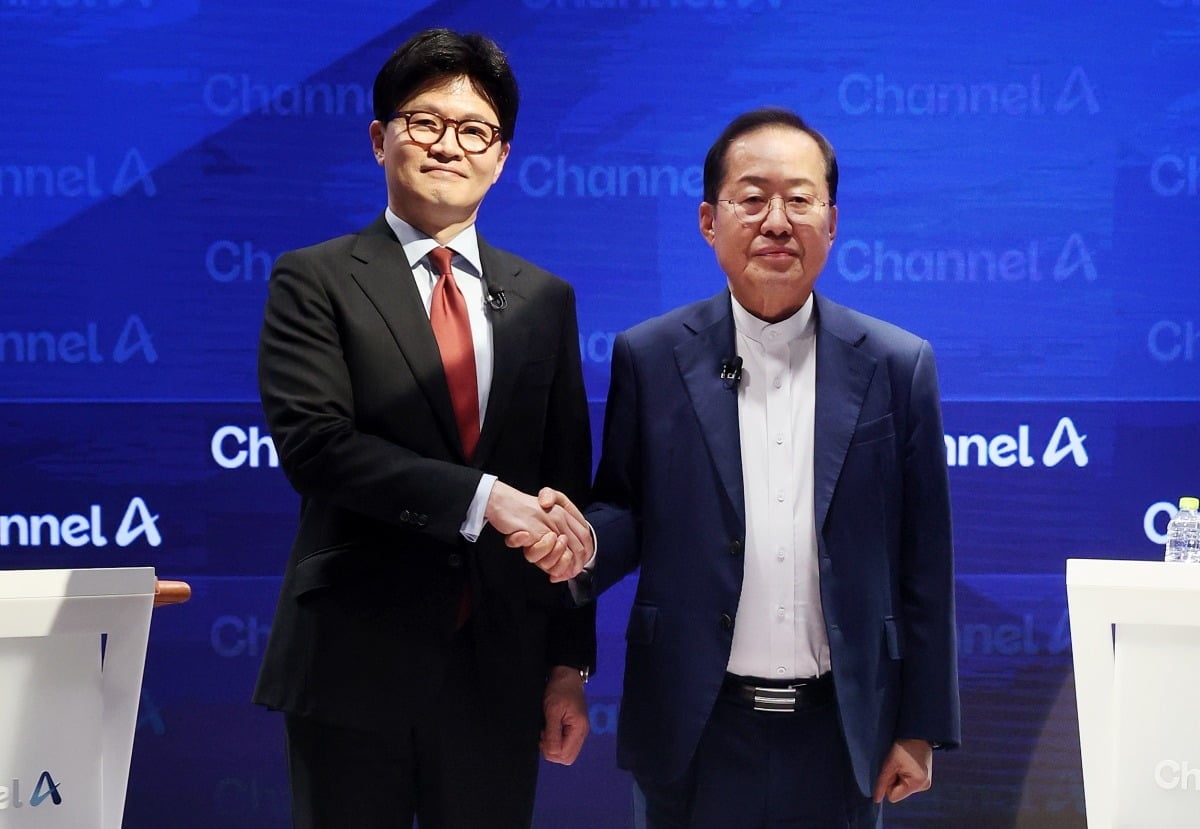 홍준표 한동훈 수사 관련 기사 이미지