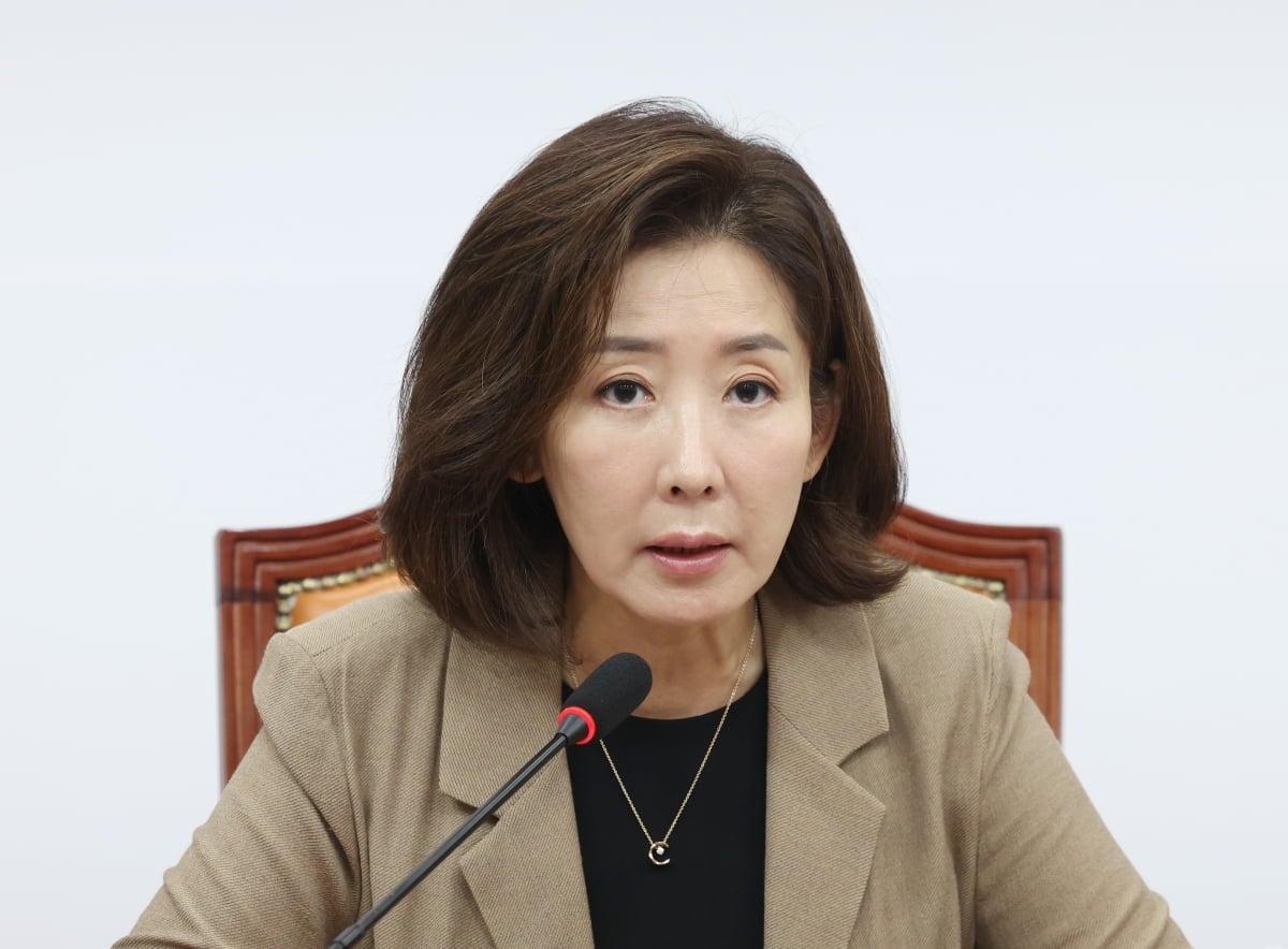 나경원 국민의힘 의원 부동산 농지 규제 비판
