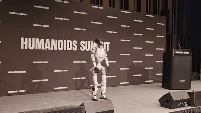 국내 피지컬 AI 기업 '로보티즈(ROBOTIS)'의 휴머노이드 'AI 사피엔스(Sapiens)'. [사진=김수지 기자]