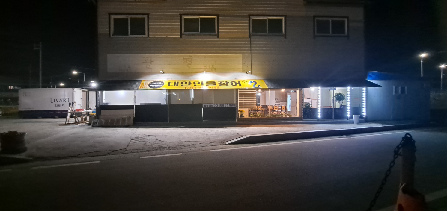 태안민물장어 1