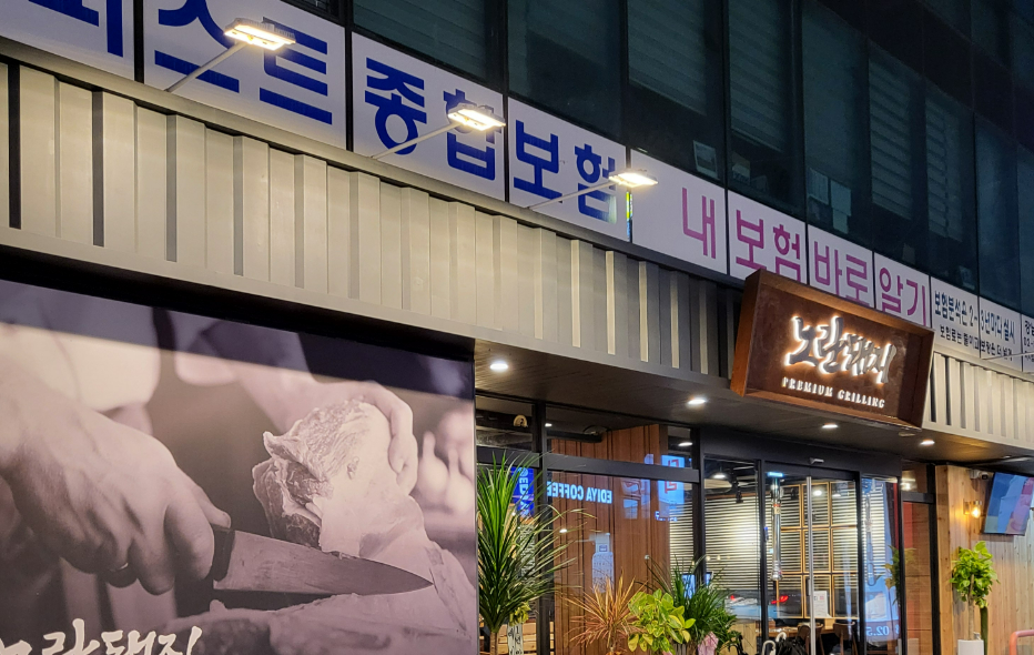 노란돼지 사진 5