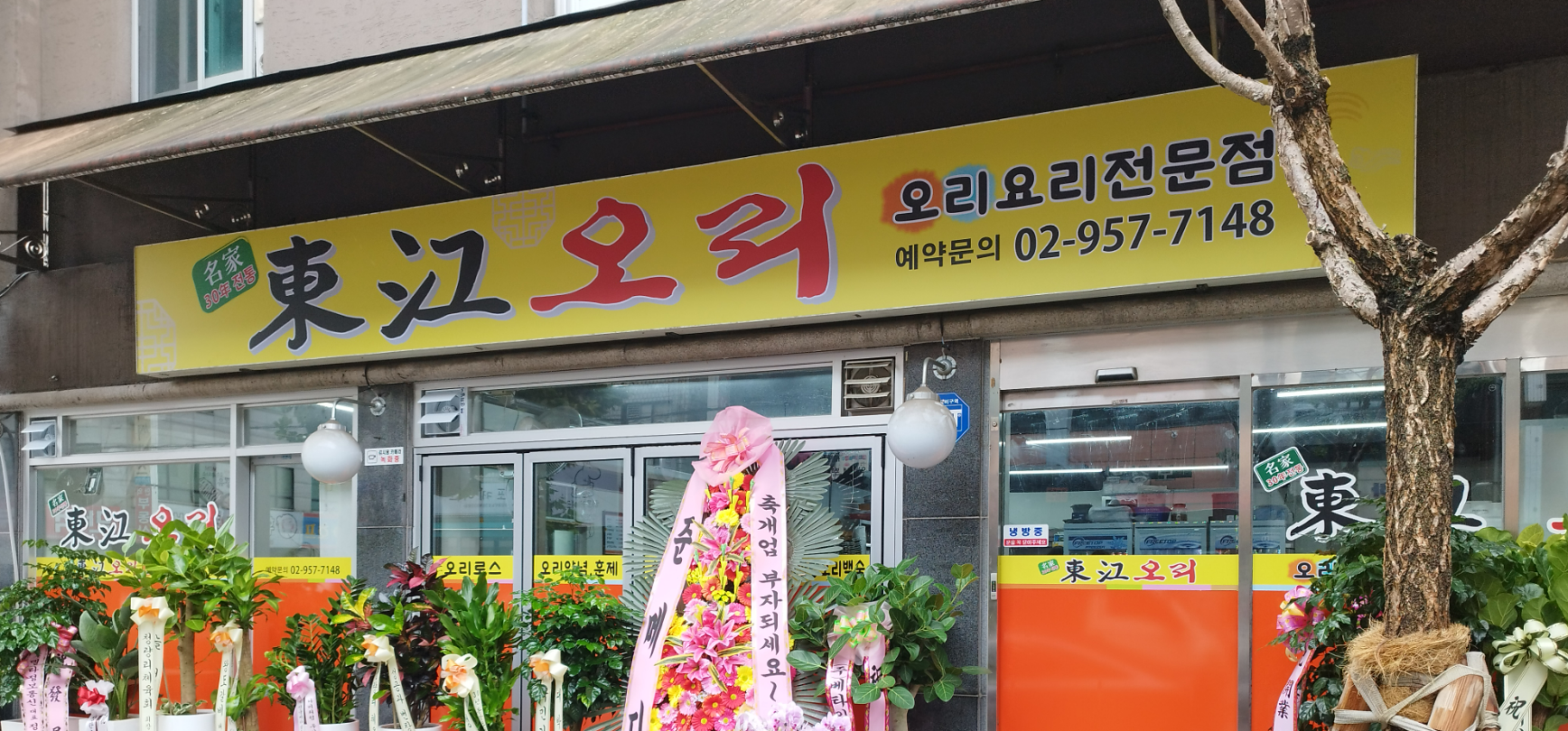 동강오리 1