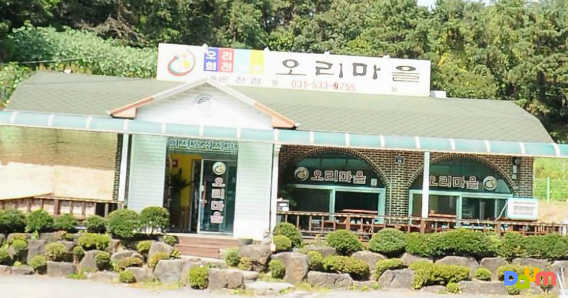 오리마을 1