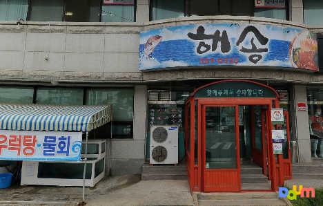 해송 4