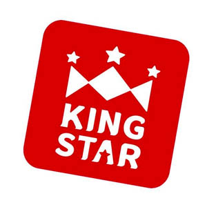 킹스타 1
