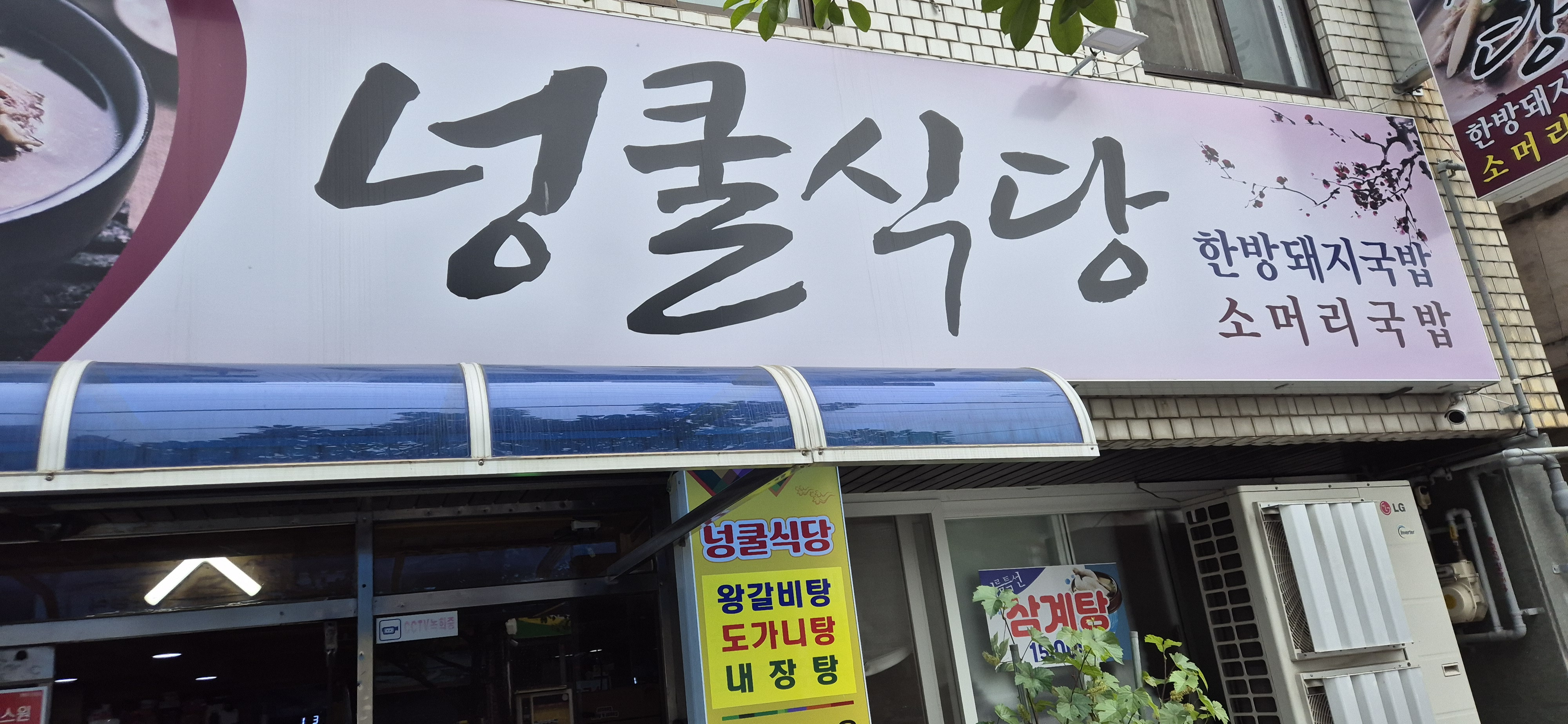 넝쿨식당 3