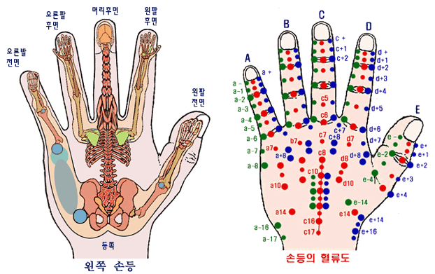 첨부이미지