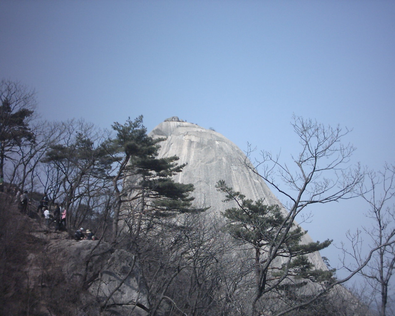 첨부이미지