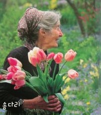 첨부이미지