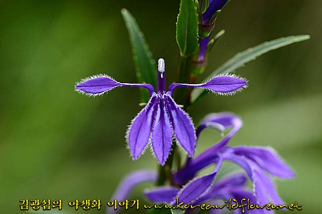 첨부이미지