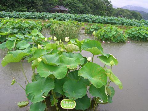 첨부이미지