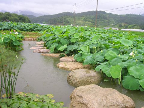 첨부이미지
