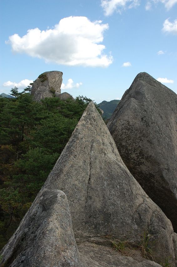 첨부이미지