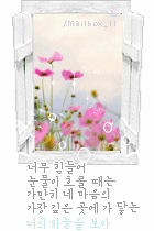 첨부이미지