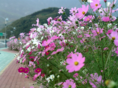 첨부이미지