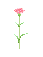 첨부이미지