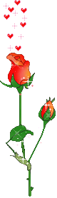 첨부이미지
