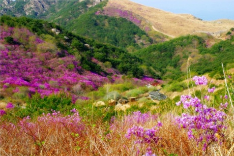첨부이미지