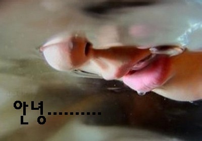 첨부이미지