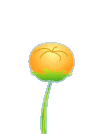 첨부이미지