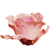 첨부이미지
