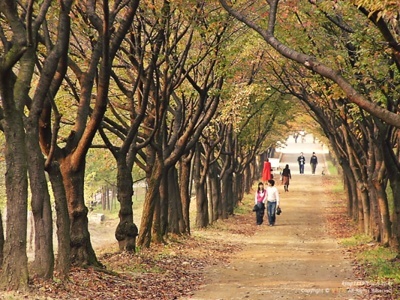 첨부이미지