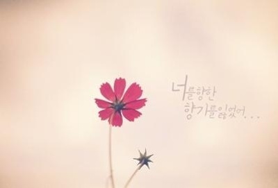 첨부이미지