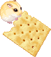 첨부이미지