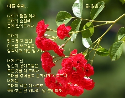 첨부이미지
