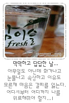 사랑에향기