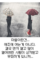 사랑에향기