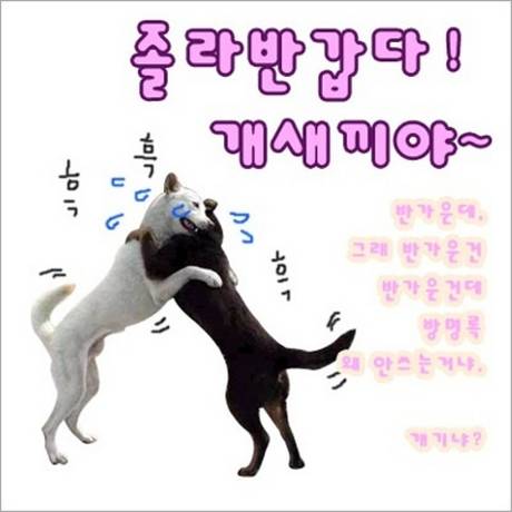 첨부이미지