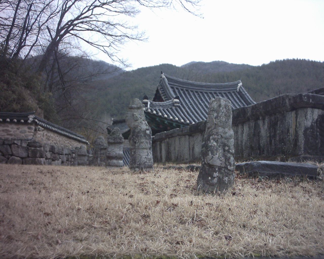 첨부이미지