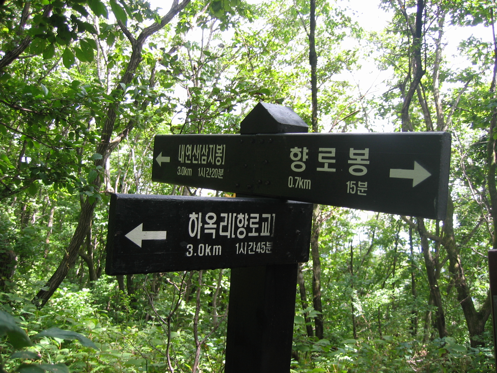 첨부이미지