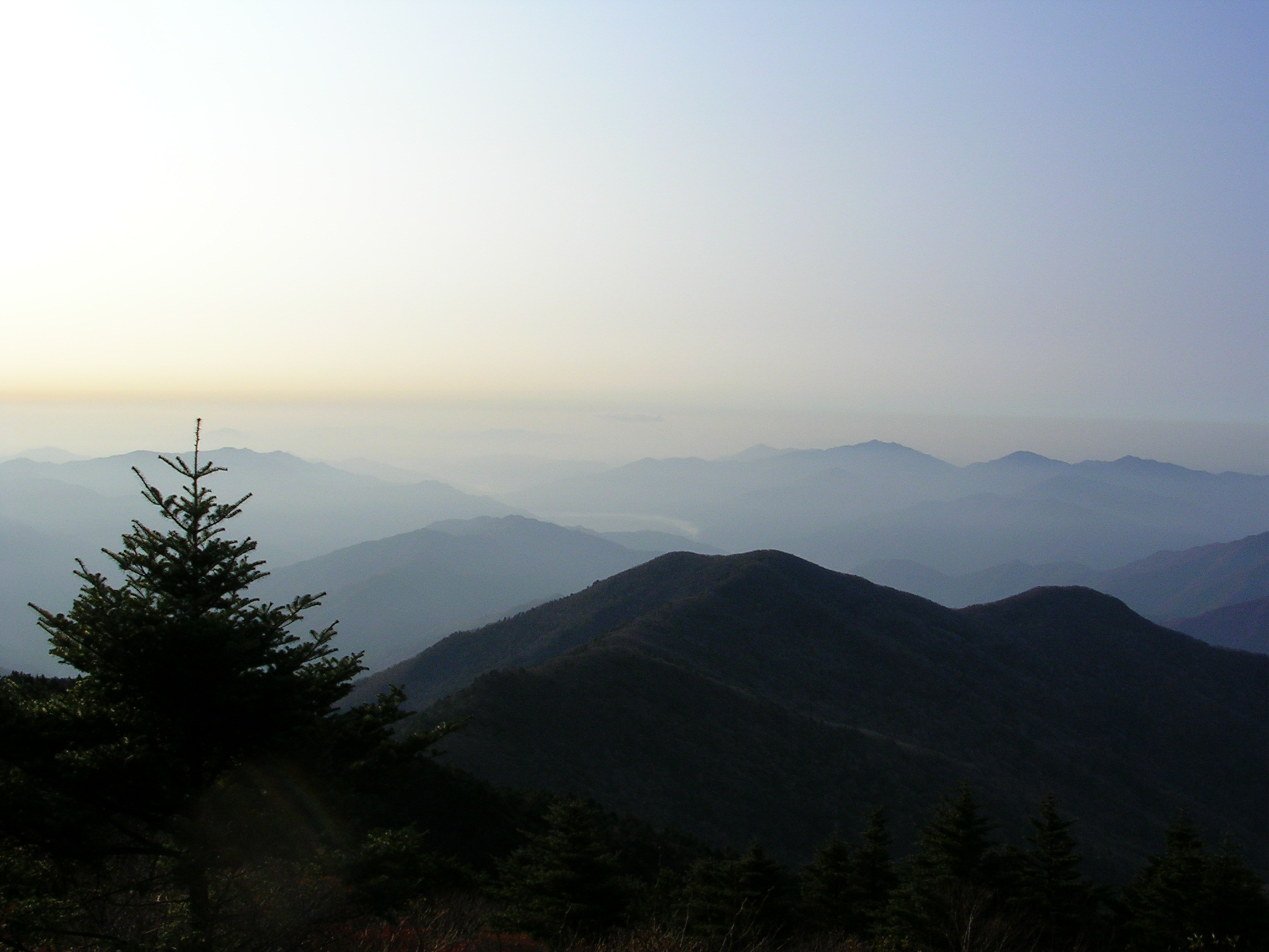 첨부이미지