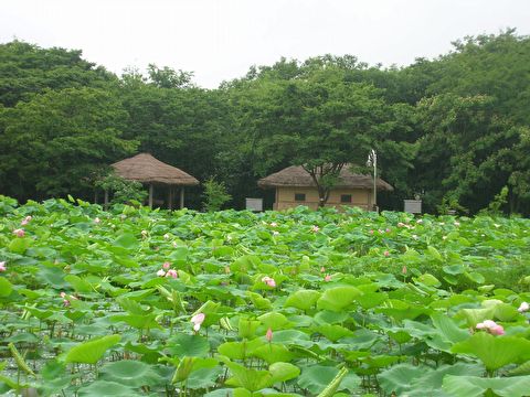 첨부이미지