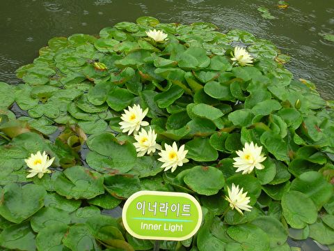 첨부이미지