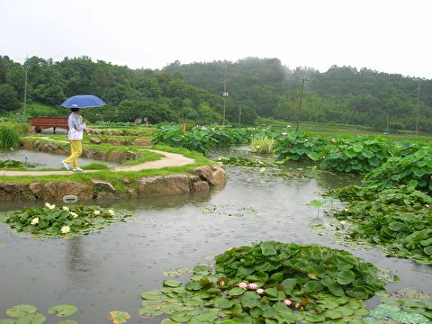 첨부이미지