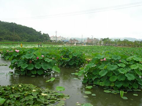 첨부이미지