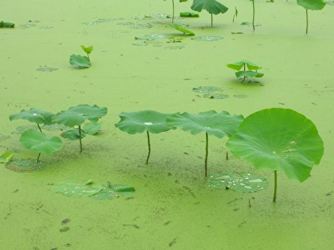 첨부이미지