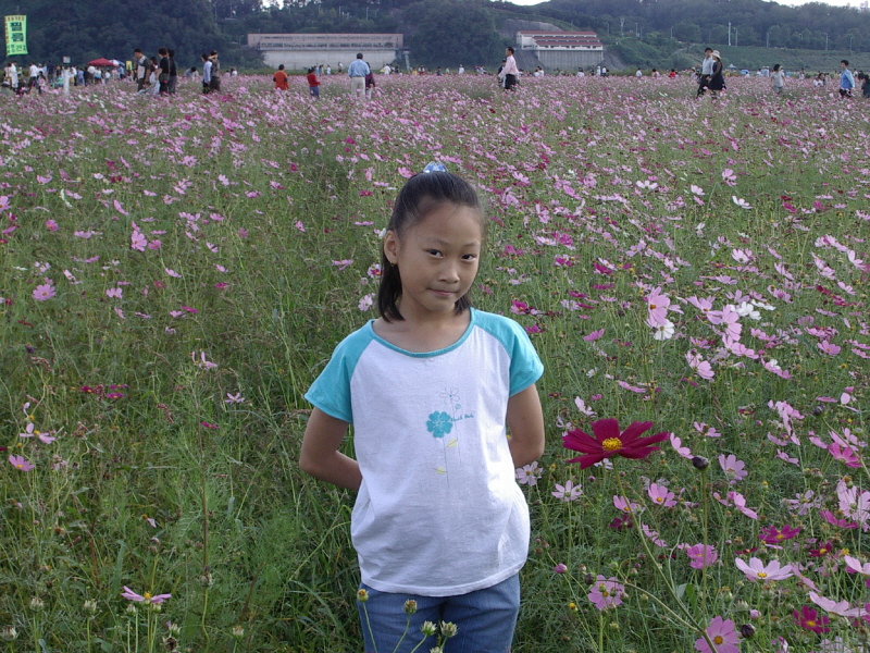 첨부이미지