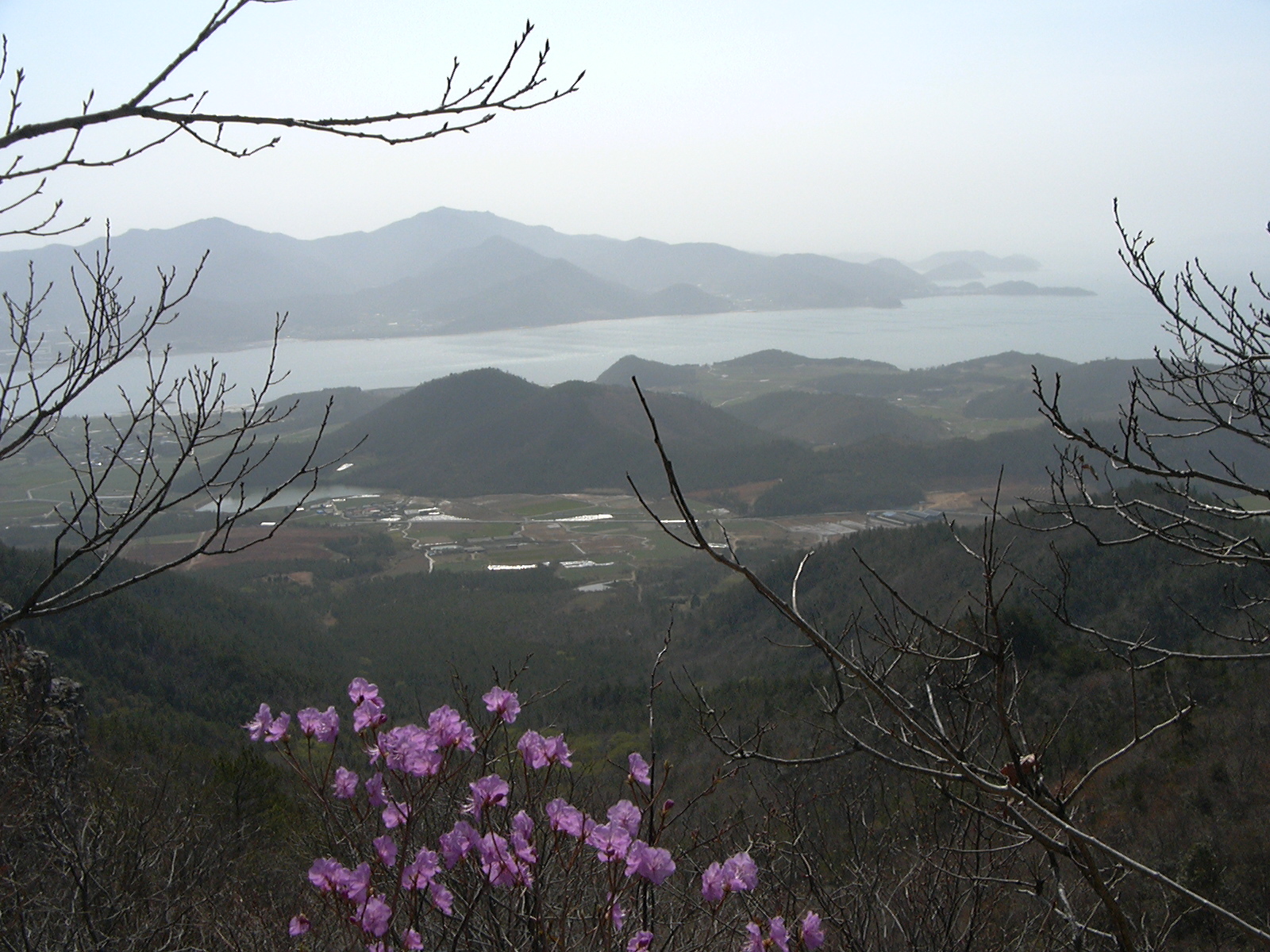 첨부이미지