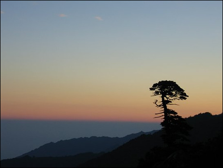 첨부이미지