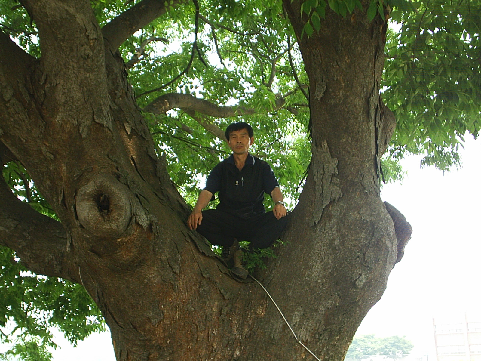 첨부이미지