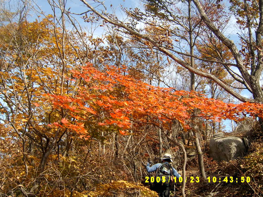 첨부이미지
