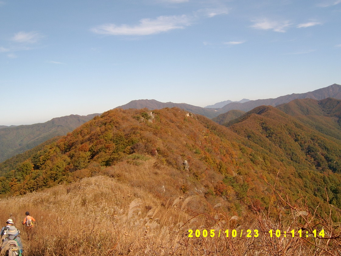 첨부이미지